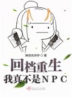 �ص����������治��NPC