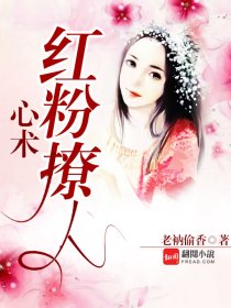 �������������