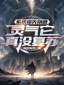 ϵͳ���ȱ𼱣���������û���գ�