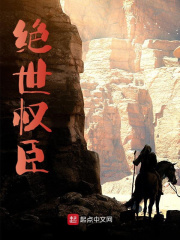 ����Ȩ���ľ������Ʒ�