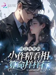 ���ܻ����С������������������