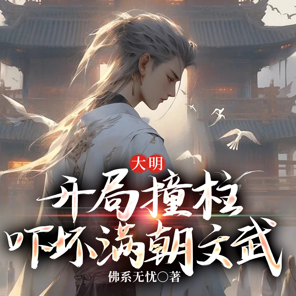 ����������ײ�����Ż���������